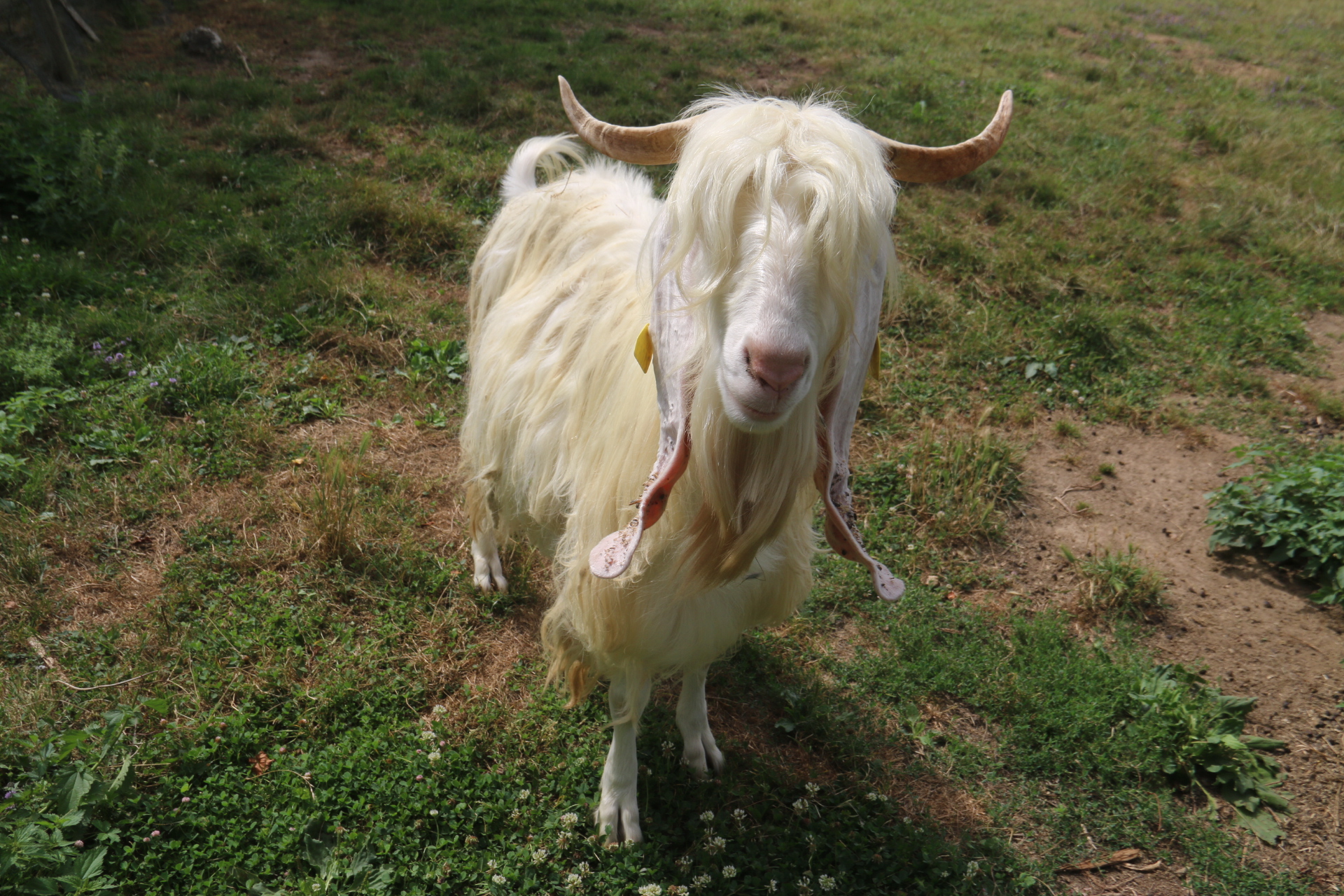 Photo n° 7 de l'avis de Patrice.o fait le 18/08/2023 à 18:06