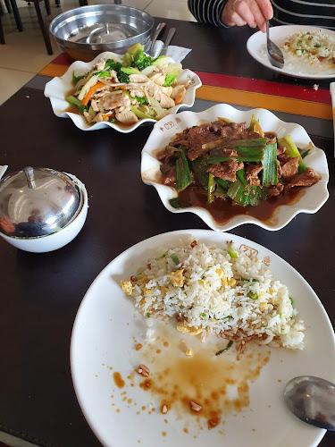 Opiniones de Restaurant Zhong yi en Curicó - Restaurante