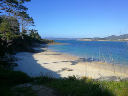 Praia Vilaverde'in fotoğrafı vahşi alan