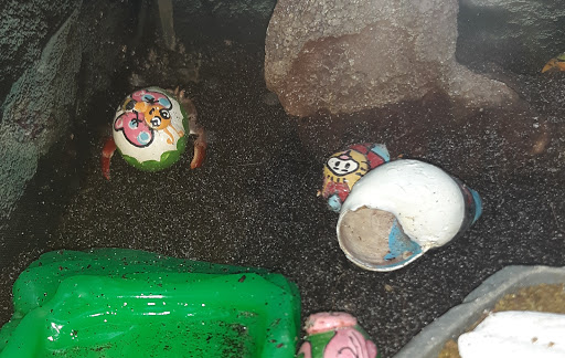 Pet Supply Store «Petco Animal Supplies», reviews and photos, 8404 Eager Rd b, Brentwood, MO 63144, USA