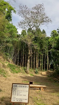 里山の花畑