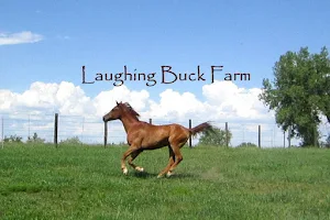 Laughing Buck Farm image