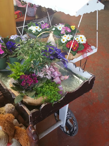 Florist «Silverton Flower Shop», reviews and photos, 311 N Water St, Silverton, OR 97381, USA