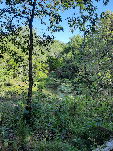Park «Valley Water Mill Park», reviews and photos, 2450 E Valley Water Mill Rd, Springfield, MO 65803, USA