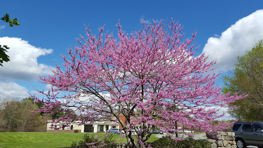 Grocery Store «Market Basket», reviews and photos, 231 Newburyport Turnpike, Rowley, MA 01969, USA