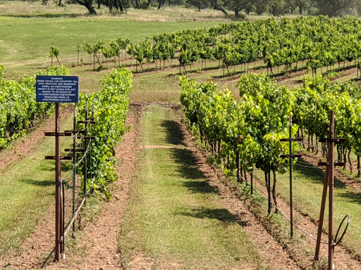 Winery «Fiesta Winery», reviews and photos, 18727 FM 580, Lometa, TX 76853, USA