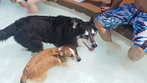 Water Park «Hawaiian Falls Garland», reviews and photos, 4550 N Garland Ave, Garland, TX 75040, USA