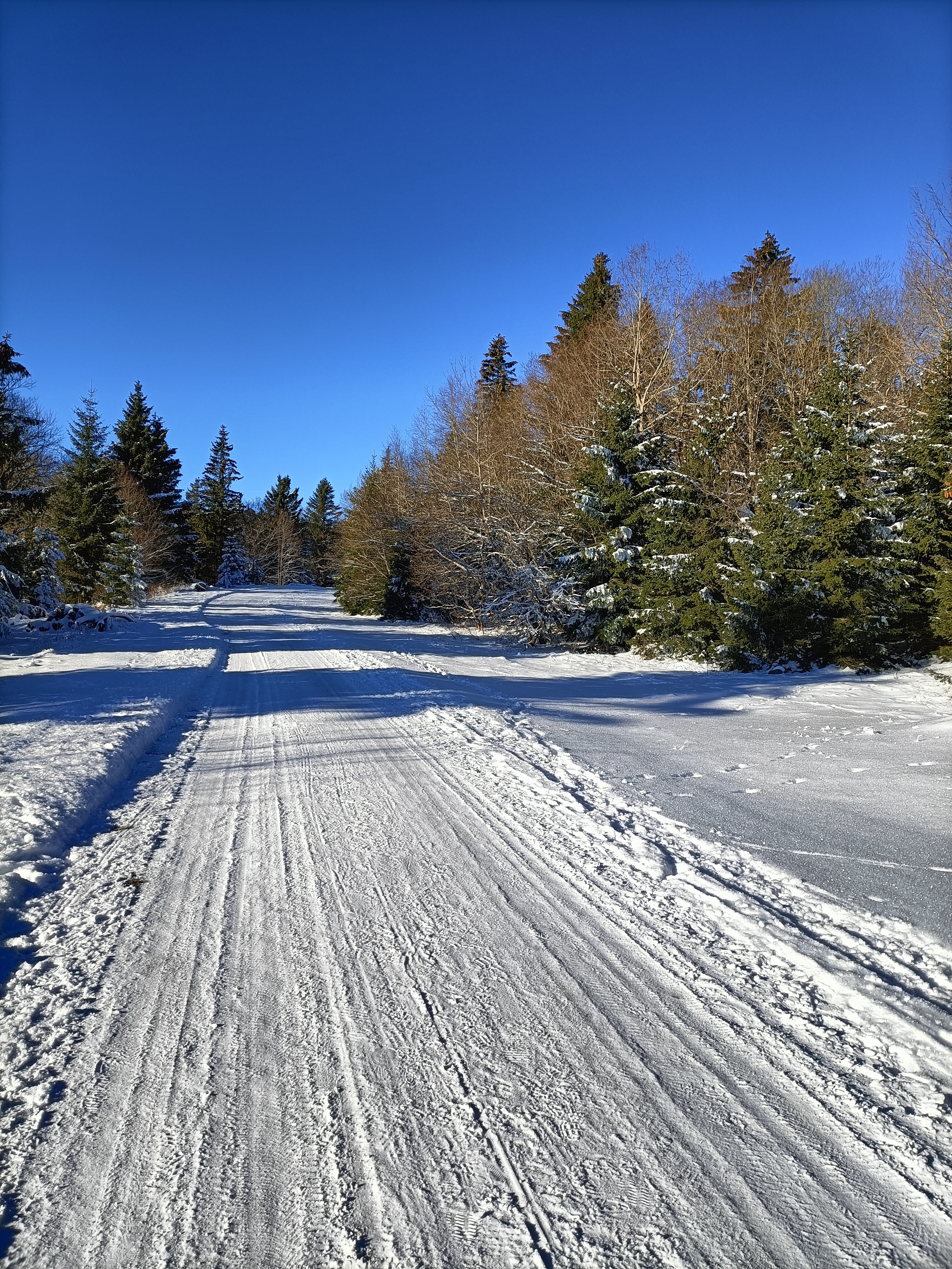 Photo n° 2 de l'avis de Agnès.e fait le 14/01/2024 à 16:21