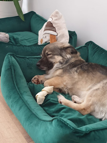 Centrum ProAnimal - Terapia zwierząt Kraków - Lekarz