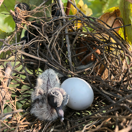 Winery «Prairie Fire Winery», reviews and photos, 20250 Hudson Ranch Rd, Paxico, KS 66526, USA