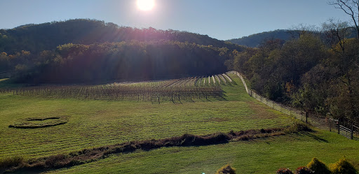 Winery «Loving Cup Vineyard & Winery», reviews and photos, 3340 Sutherland Rd, North Garden, VA 22959, USA