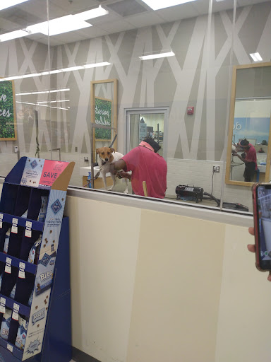 Pet Supply Store «Petco Animal Supplies», reviews and photos, 163 Highland Ave, Needham, MA 02494, USA