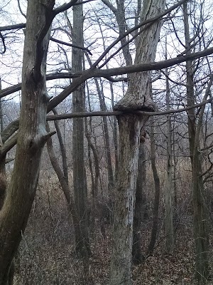 Walter S. Commerdinger, Jr. County Park - photo 34