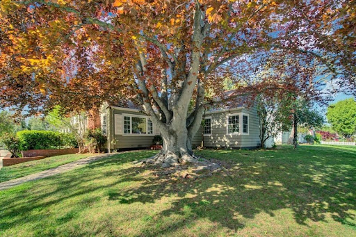 Ensy Afdari - Top Realtor in Santa Clara County - Silicon Valley image