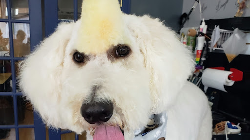Pet Groomer «Ufuri Pet Salon», reviews and photos, 235 Huron Ave, Port Huron, MI 48060, USA