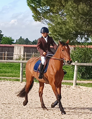 Le Haras de Durfort à Durfort-et-Saint-Martin-de-Sossenac