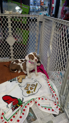 Animal Shelter «One of A Kind Pet Rescue», reviews and photos, 1929 W Market St, Akron, OH 44313, USA