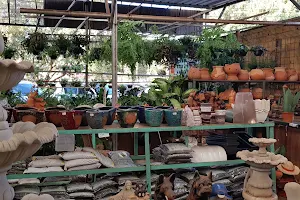 Casa Colombo Garden Center image