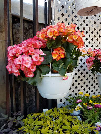 Produce Market «Hudson Farmers Market», reviews and photos, 3437 John F. Kennedy Blvd, Jersey City, NJ 07307, USA