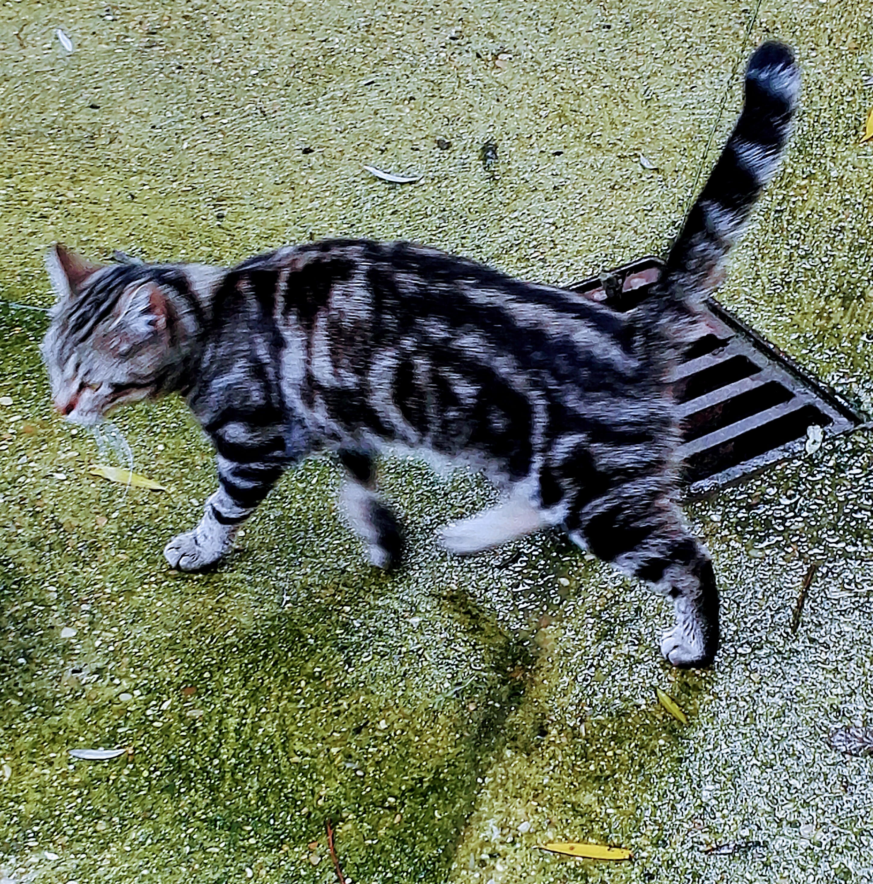 Photo n° 4 de l'avis de Albert.E fait le 01/05/2018 à 04:02