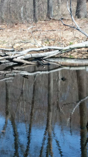 Hiking Area «Den Rock Park», reviews and photos, Stirling St, Andover, MA 01810, USA