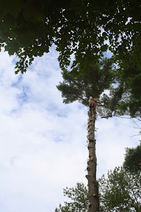 Tree Line Property Services LLC. - Photo 3 - Car repair in Derry, NH, Manchester