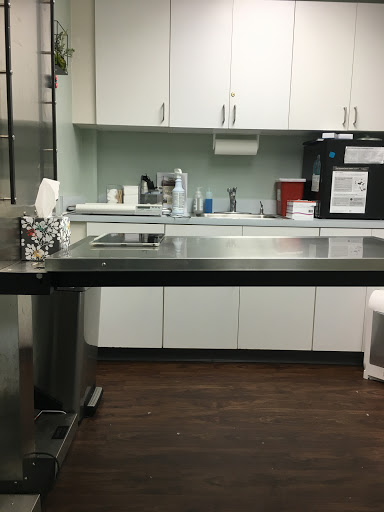 Lau Timothy S Y DVM image