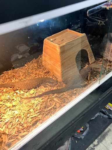 Pet Supply Store «PETNJOY - GARDENA», reviews and photos, 15515 Normandie Ave, Gardena, CA 90247, USA