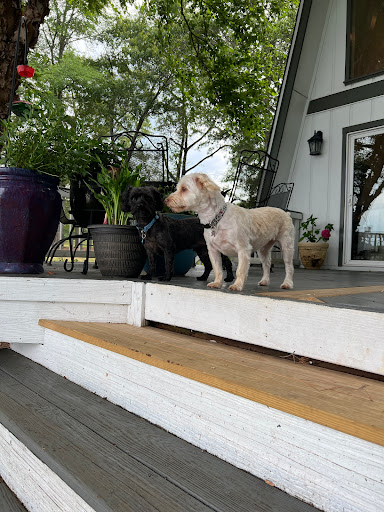 Pet Supplies Plus Rock Hill