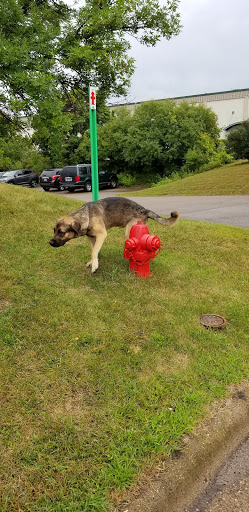 Used Car Dealer «Original Owner Autos», reviews and photos, 9811 Hamilton Rd, Eden Prairie, MN 55344, USA