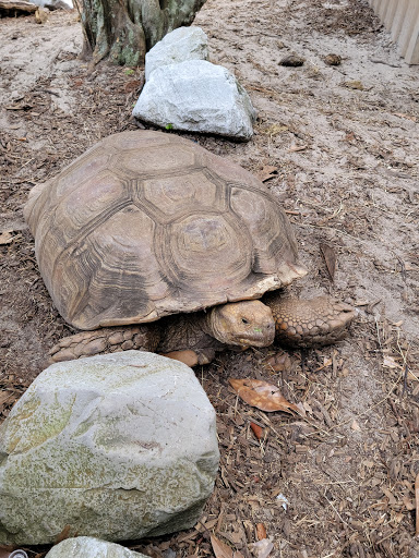 Zoo «Gulf Breeze Zoo», reviews and photos, 5701 Gulf Breeze Pkwy, Gulf Breeze, FL 32563, USA