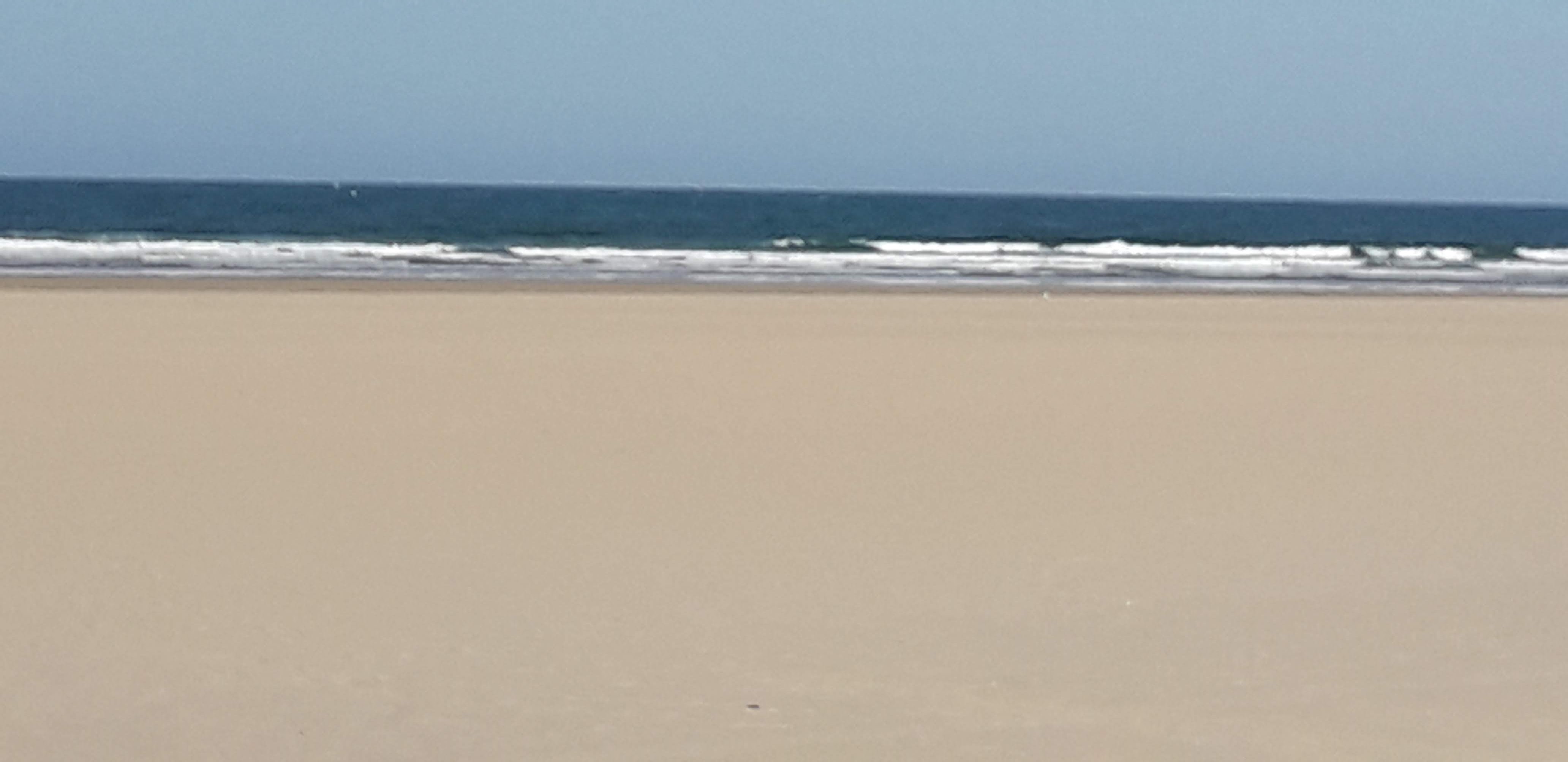 Photo n° 4 de l'avis de Mylene.i fait le 06/04/2019 à 16:57