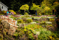 Tesa Richardson Photography LLC. - Photo 8 - Car repair in , Sacramento