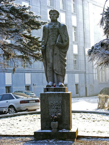 Strada Nicolae Iorga 1, Târgu Mureș, România