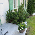 Photo n° 3 de l'avis de sylvie.u fait le 23/06/2023 à 07:27 pour ADH Piscines & Paysages – Paysagiste Pisciniste Spa – Vendôme à Villiers-sur-Loir