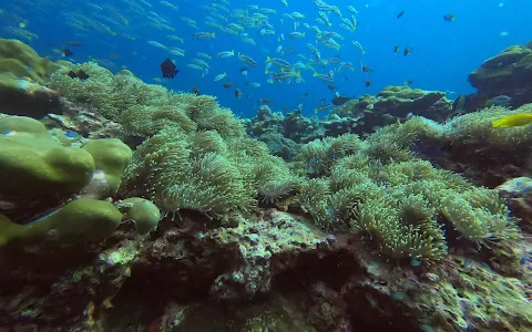 Dive Shack image