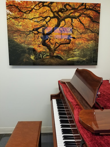 Radayeva Music Studio image
