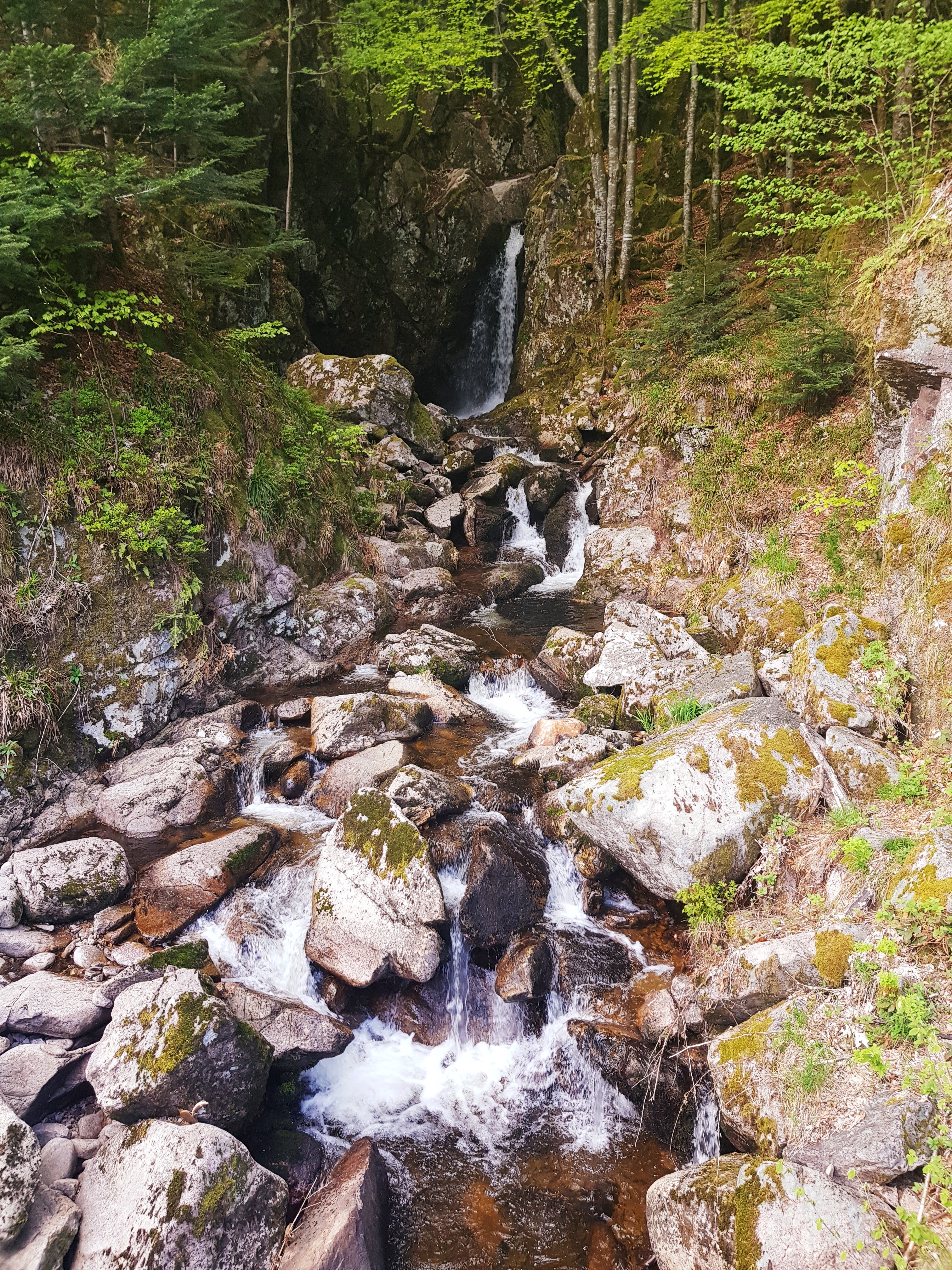 Photo n° 1 de l'avis de Delphine.A fait le 26/04/2018 à 05:39