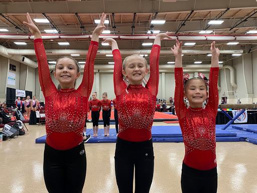 Gymnastics Center «Elite Gymnastics», reviews and photos, 8321 Bluebonnet Blvd, Baton Rouge, LA 70810, USA