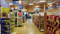 PetSmart - Photo 5 - Car repair in Vernon Hills, IL, Round Lake Beach