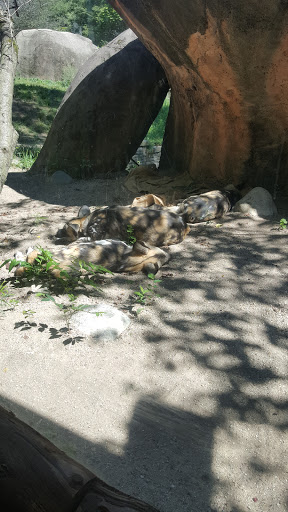 Zoo «Tropic World», reviews and photos, 3300 Golf Rd, Brookfield, IL 60513, USA