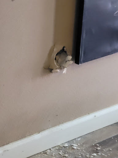 Moving and Storage Service «Two Men and a Truck», reviews and photos, 7634 Reindeer Trail, San Antonio, TX 78238, USA