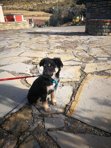 Veterinaria Ganavic, S.l. en Binéfar