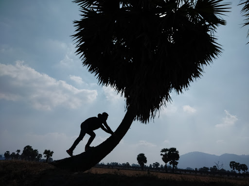 Top 20 mẫu cửa hàng đẹp Huyện Tịnh Biên An Giang 2022