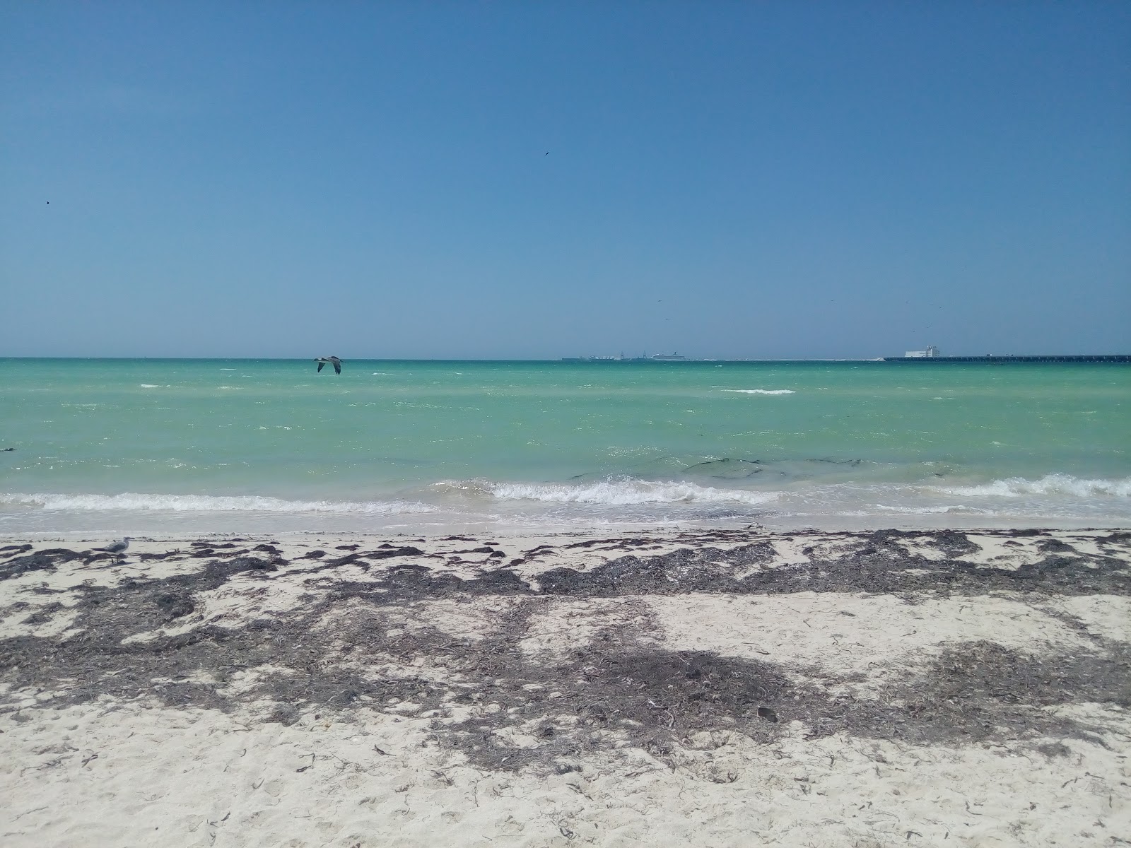 Foto de Playa Progreso e o assentamento