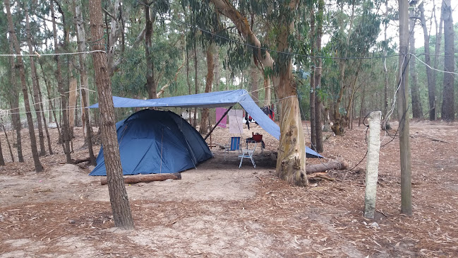 Opiniones de Camping Policial La Paloma en Minas - Camping