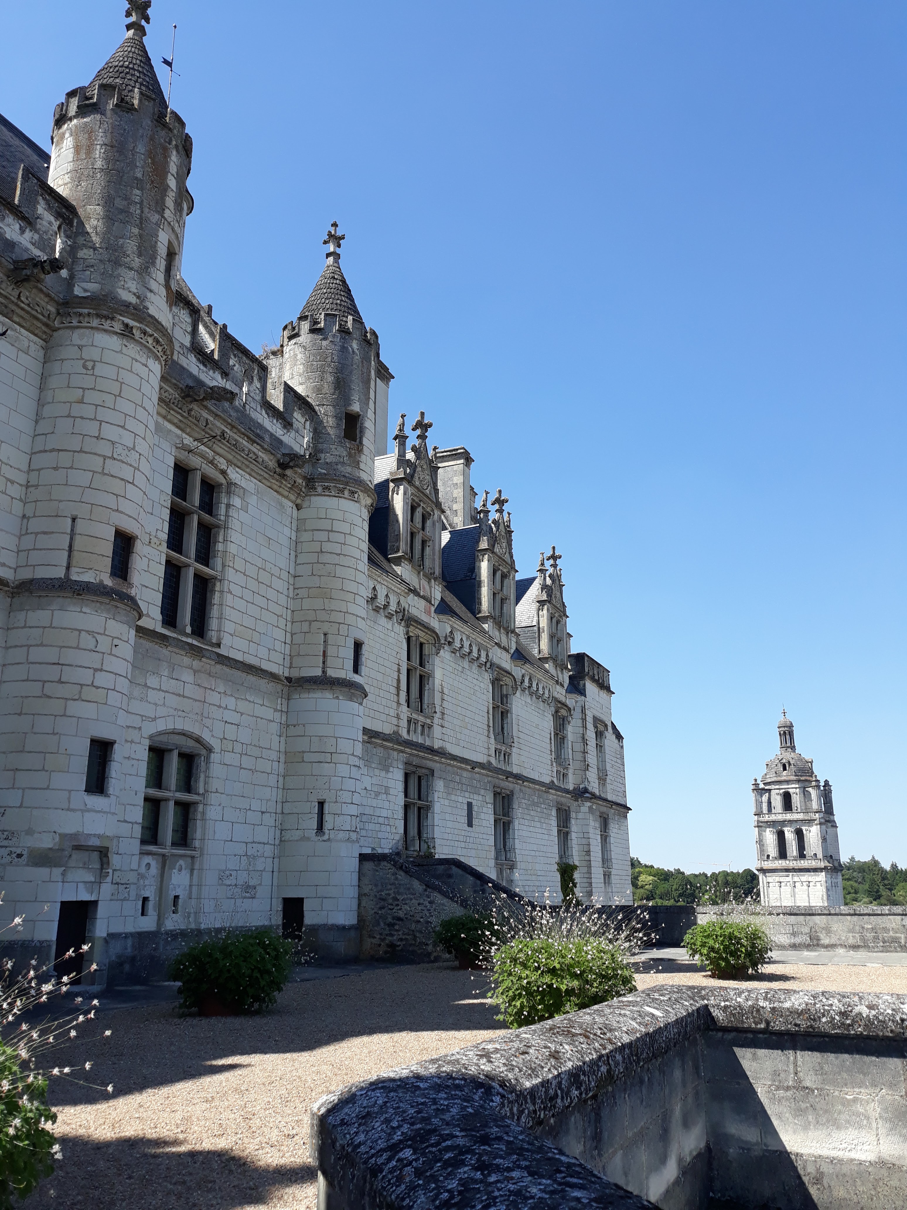 Photo n° 2 de l'avis de Maugo.2 fait le 12/08/2018 à 17:56