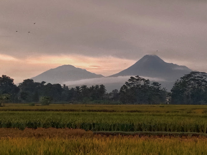 View Gabahan - Plaosan