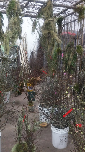 Florist «Portland Flower Market», reviews and photos, 3624 N Leverman St, Portland, OR 97217, USA