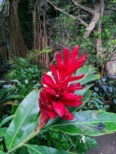 Zoo «Lied Jungle», reviews and photos, 916 D St, Omaha, NE 68107, USA